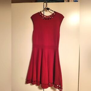 Ted Baker Size 4 Fushia Pink Fit and Flare Dress